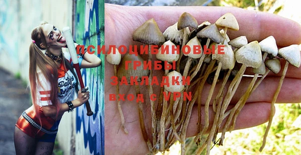 COCAINE Белокуриха