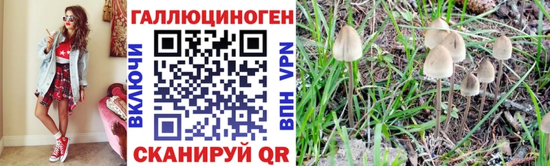что такое   Волжск  Псилоцибиновые грибы мицелий 