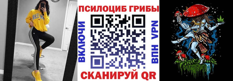 Псилоцибиновые грибы прущие грибы Волжск