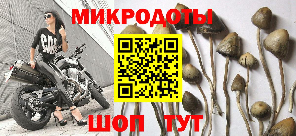 Галлюциногенные грибы MAGIC MUSHROOMS  Вход с VPN  Волжск  Псилоцибиновые грибы ЛСД 