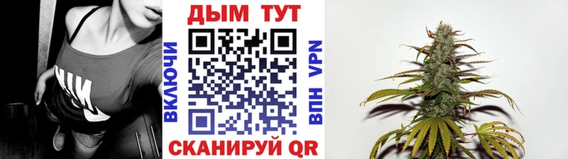 Конопля сатива  дарнет шоп  Волжск 